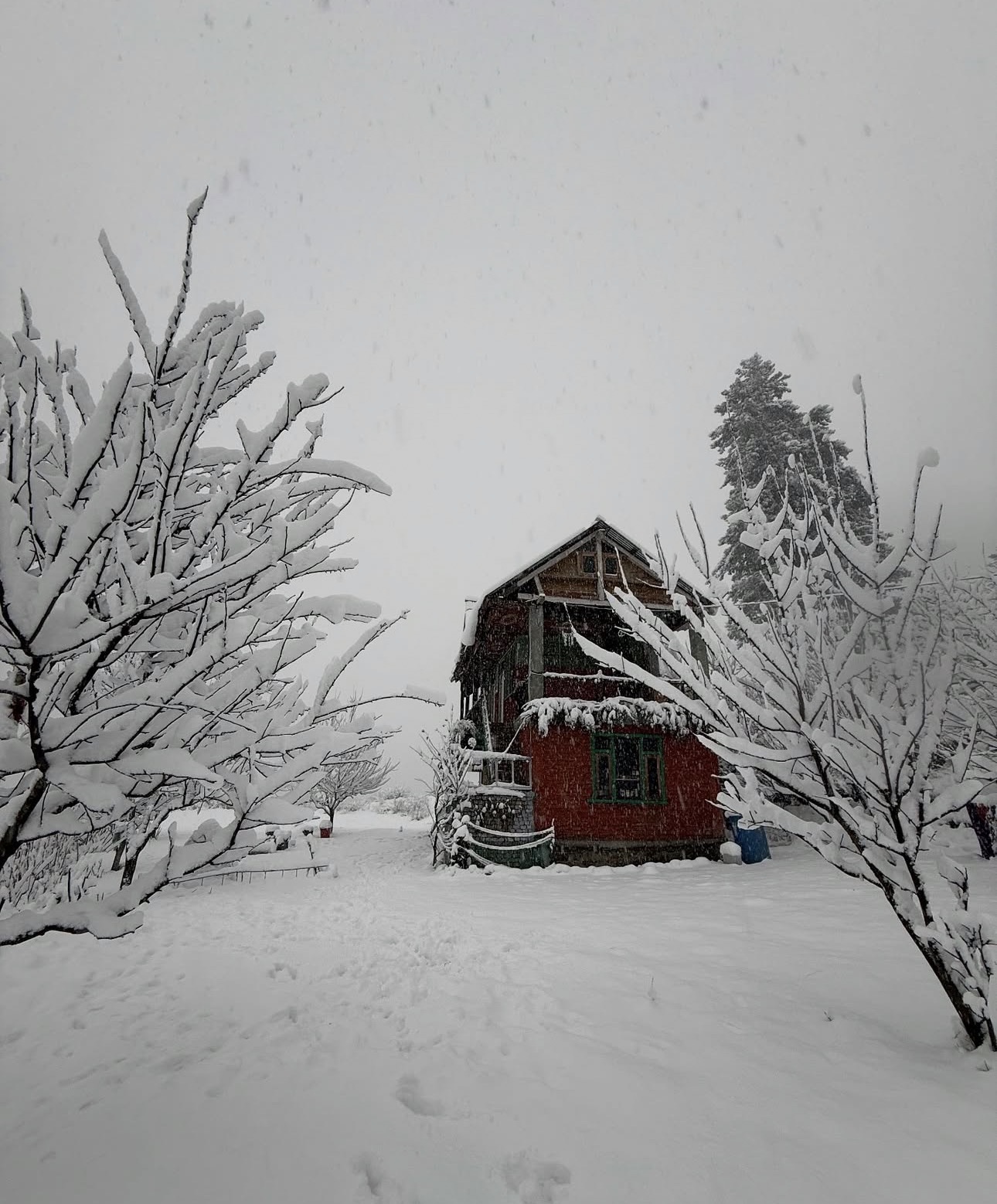 MJ Cafe Homestay, Tulgah